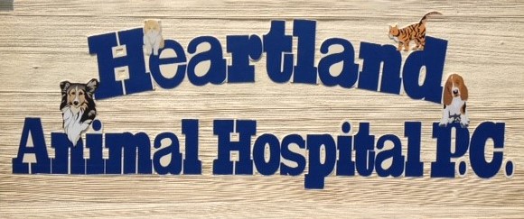 heartland animal hospital